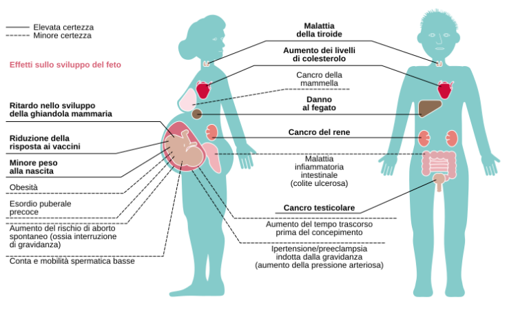 PFAS: cosa sono e perché sono pericolosi